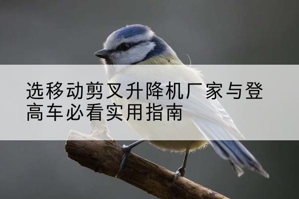 乌苏电动升降机厂家-选移动剪叉升降机厂家与登高车必看实用指南