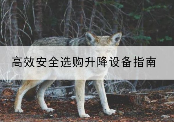 乌苏升降货梯厂家推荐-*安全选购升降设备指南