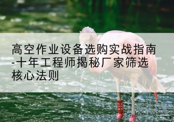 乌苏剪叉式升降机厂家-高空作业设备选购实战指南-十年工程师揭秘厂家筛选核心法则